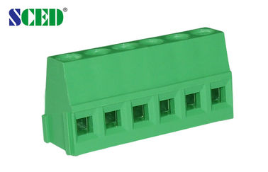 5.0mm 300V 10A soulevant le logement vertical de l'admission PA66 de fil de cage